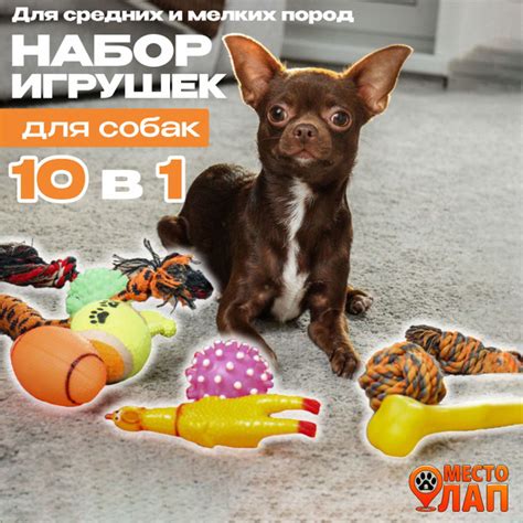 Игрушки для собак мелких пород и щенков средних и крупных пород, набор ...