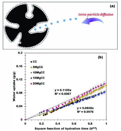 A Representation Of The Intra Particle Diffusion Model And B Water