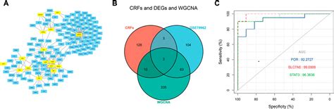 Frontiers A Novel Signature Combing Cuproptosis And Ferroptosis