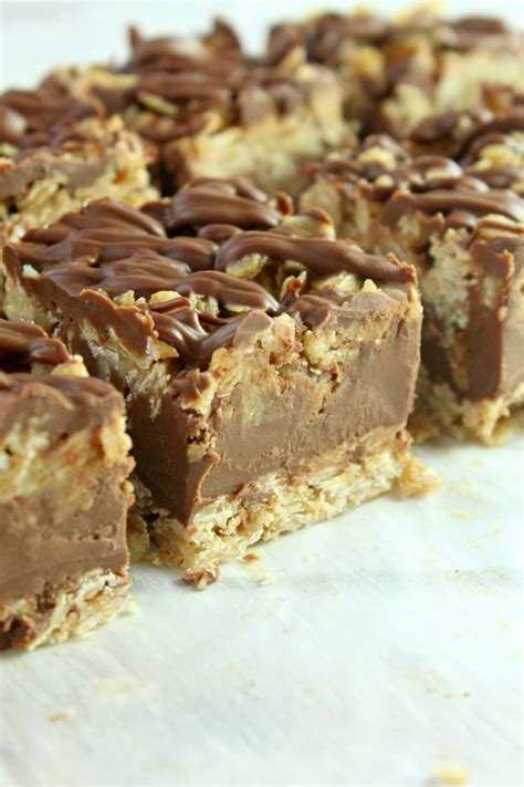 How To Prepare Yummy Recipe For No Bake Chocolate Oatmeal Bars Prudent Penny Pincher