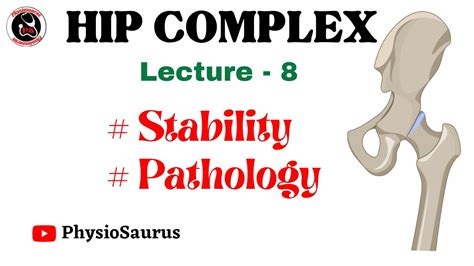 Hip Complex Pathologies Stability Youtube