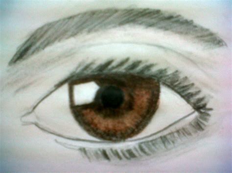 Left Brown Eye Drawing by RainbowRose725 on DeviantArt