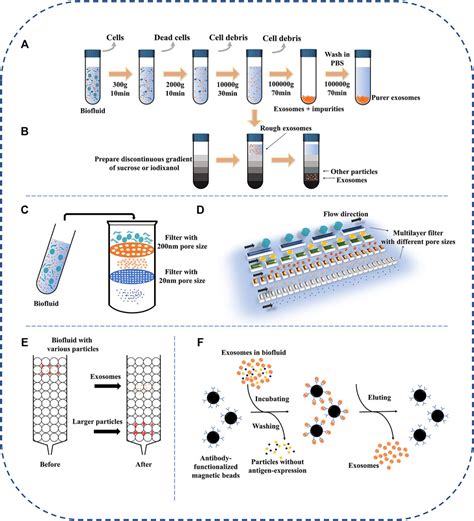 Frontiers Review On Strategies And Technologies For Exosome Isolation