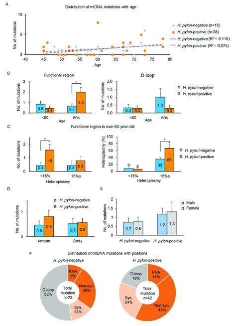 Mtdna Mutations Detected In H Pylori Negative And Positive