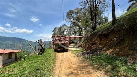 Hombre Hallado Muerto En La Vereda Portachuelo De Girardota