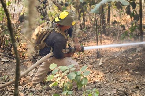 Mantiene Personal De Pc Y Conafor Trabajo Para Sofocar Incendio En