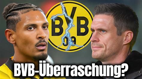 BVB EILMELDUNG NIEMAND HAT DAMIT GERECHNET HALLER HEUTE BESTÄTIGT