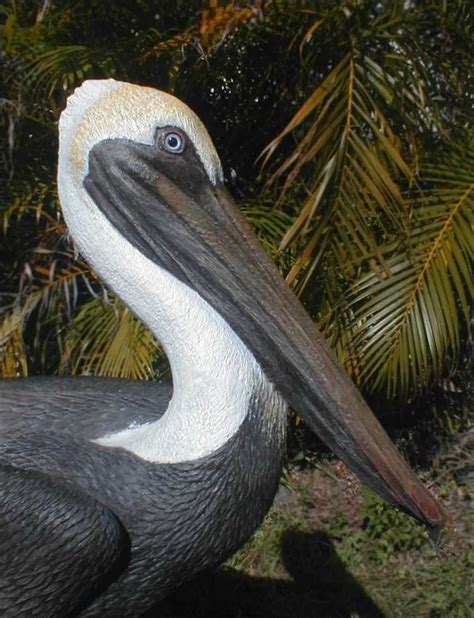 Hand Crafted Life Size Pelican Sculptures By Chris Dixon Studios