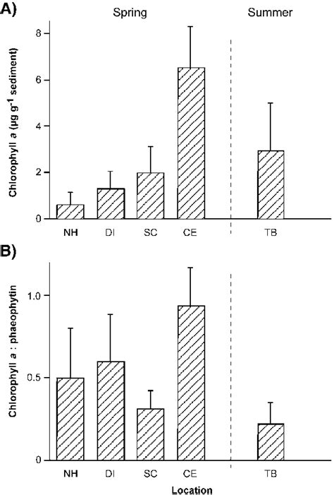 A Benthic Chlorophyll A Concentration And B Chlorophyll A Download Scientific Diagram