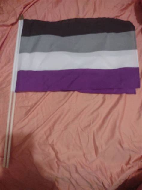 Handheld Pride Flags X On Wood Stick Varieties Rainbow Gay Spirit Trans And More