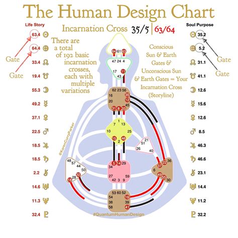 Incarnation Cross Human Design Human Design System Human