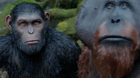 Kingdom Of The Planet Of The Apes Are Caesar And Maurice In The Movie