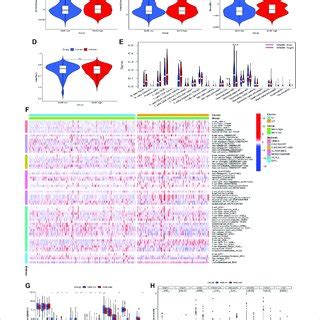 Immune Cell Infiltration In Two Subtypes A Estimate Score In Two