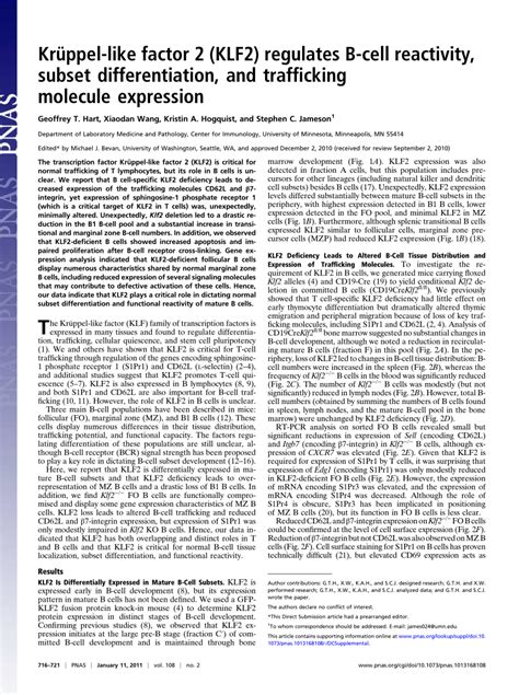 Pdf Krüppel Like Factor 2 Klf2 Regulates B Cell Reactivity Subset