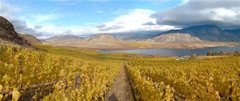 Osoyoos Larose The Rose Of Lotus Land Good Food Revolution