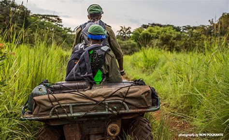 Pioneering Conservation In A Precarious Part Of Drc African Wildlife Foundation