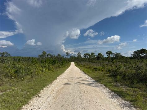 South Road, Florida - GPS Trail Map, Conditions & Difficulty | onX Offroad