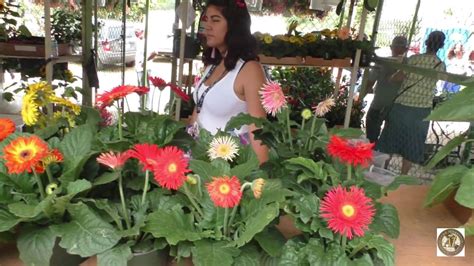 Puerto Rico Aibonito Flower Festival