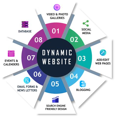 Dynamic Web Designing Dynamic Website Design Company In Delhi