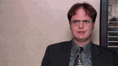 The Office Dwight Schrute  The Office Dwight Schrute Rainn Wilson