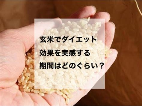 【玄米でダイエット】体型が変わるまでの期間は30日！？ボディメイクナビ