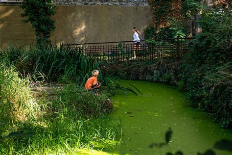 Jardin Sauvage Saint Vincent Ville De Paris