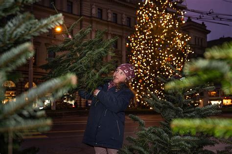 Weihnachten Naht Mit Riesenschritten H Chste Zeit An Den Christbaum