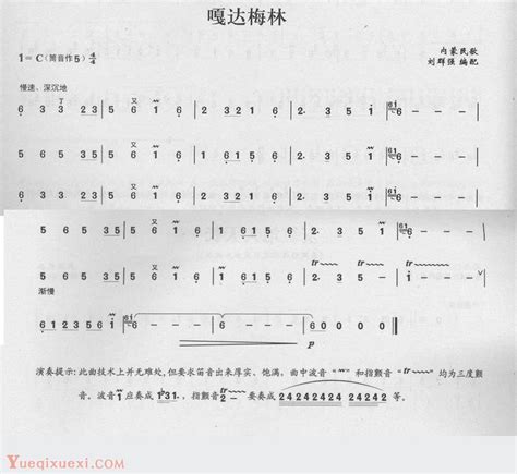 笛子演奏通俗歌曲谱之：嘎达梅林 笛子曲谱 乐器学习网