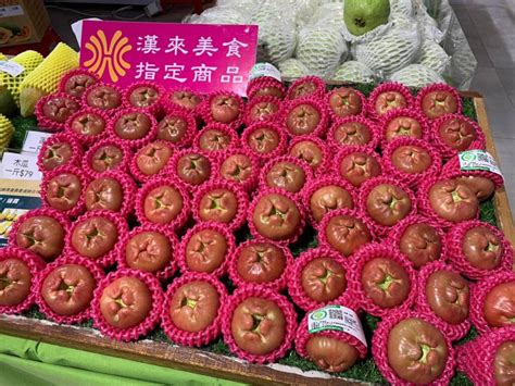 1223 1224希望廣場屏東週 蓮霧紅~蜜棗綠~給你聖誕甜蜜蜜 屏東時報電子報