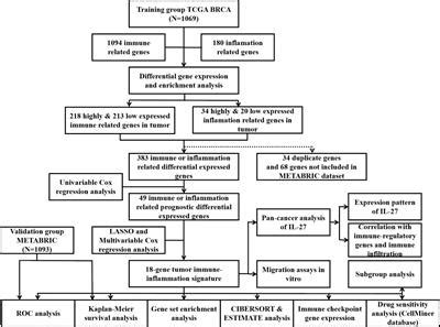 Frontiers Identification Of A Tumor Immune Inflammation Signature