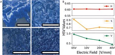 Tuning disorder in structurally colored bioinspired photonic glasses ...