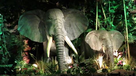 Elephants At The Rainforest Cafe Youtube