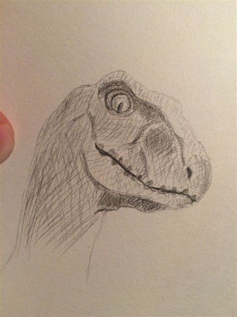 Raptor Sketch at PaintingValley.com | Explore collection of Raptor Sketch