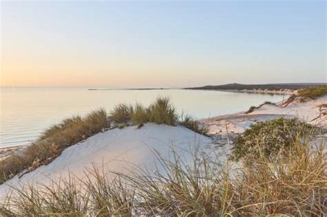 Shark Bay Marine Park