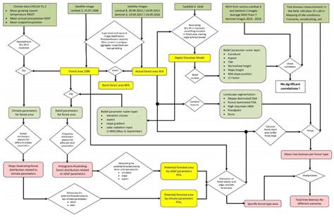 Workflow Of The Forest Distribution And Tree Biomass GIS Analysis 207