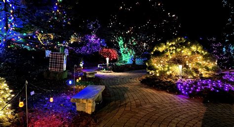 Winter Nights Winter Lights at the QC Botanical Center | November 17 ...