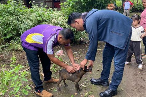 Dinkes Kota Sukabumi Tangani Kasus Gigitan Hewan Penular Rabies