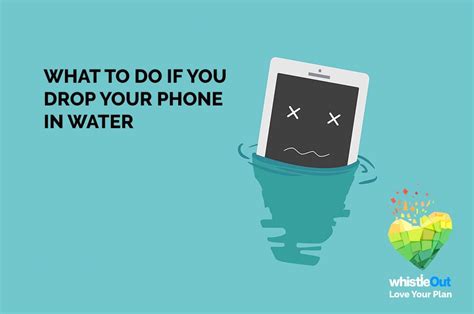 What To Do If You Drop Your Phone In Water Whistleout