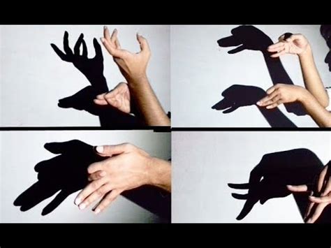 Shadow Puppets With Your Hands