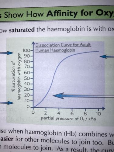 Haemoglobin Flashcards Quizlet