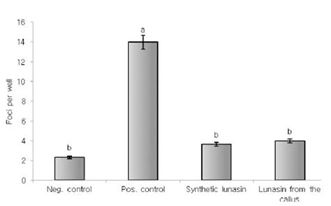 Inhibitory Effect Of Synthetic And Callus Lunasin Against Foci