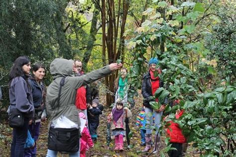 Adultos y niños disfrutaron del Día de la Fascinación por las Plantas