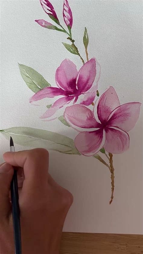 How To Paint Watercolor Tropical Plumeria Try Out Painting Tropical