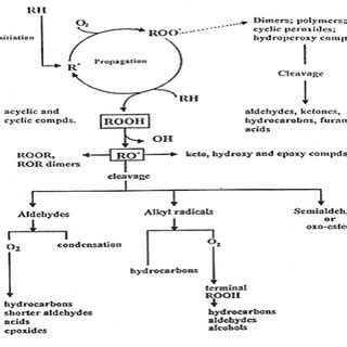 Generalized scheme for autoxidation of lipids [2]. | Download ...