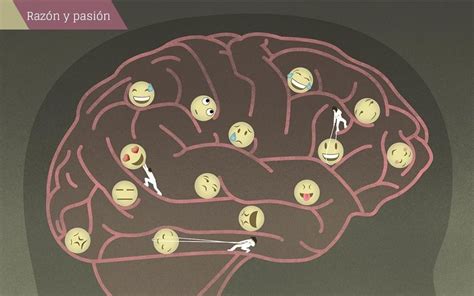 Razón y pasión historia de un conflicto filosófico
