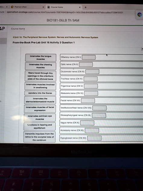 Solved Unit 16 The Peripheral Nervous System Nerves And Autonomic