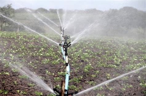 Centralina irrigazione risparmia acqua ed elettricità rispettando l