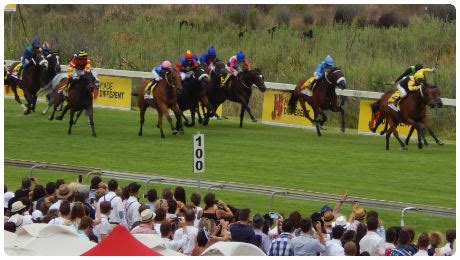 Kenilworth Racecourse - Cape of Fun