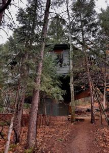 Best Colorado Treehouses To Rent On Airbnb & VRBO – Top 10 Airbnb ...