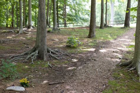 Green And All Natural Burials And Funerals Bethlehem Pa